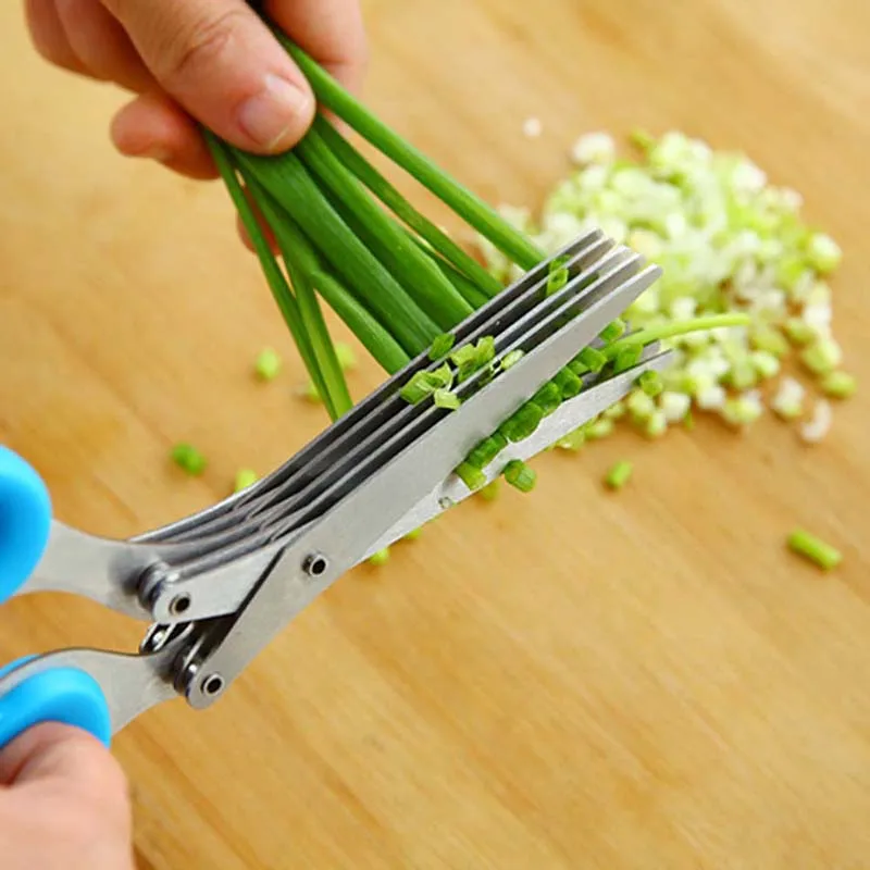 Herb Scissors 5 Blade - Ciseaux à échalotes multifonctionnels à 5