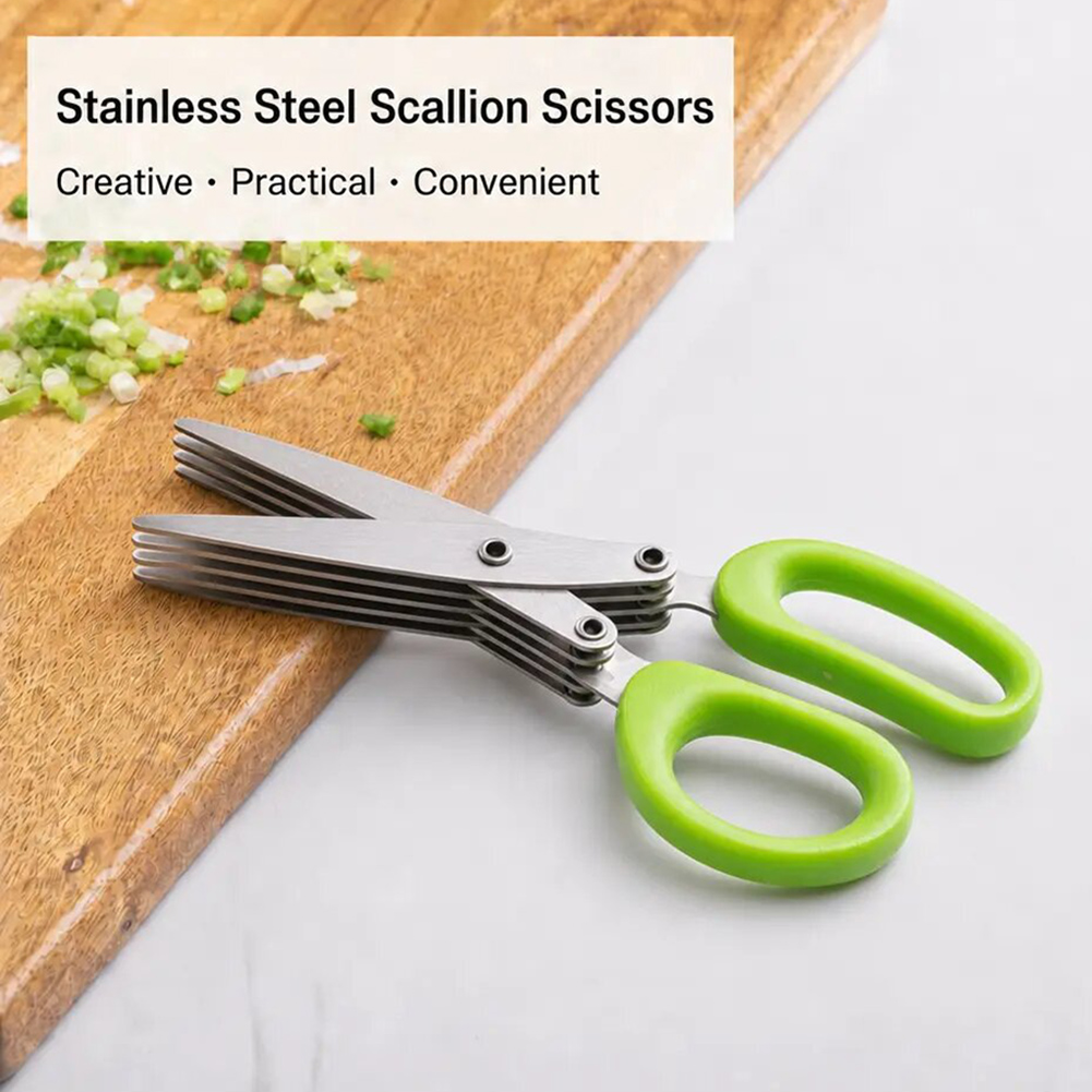 Ciseaux à herbes en acier inox - Herb Scissors 5 Blade avis et prix