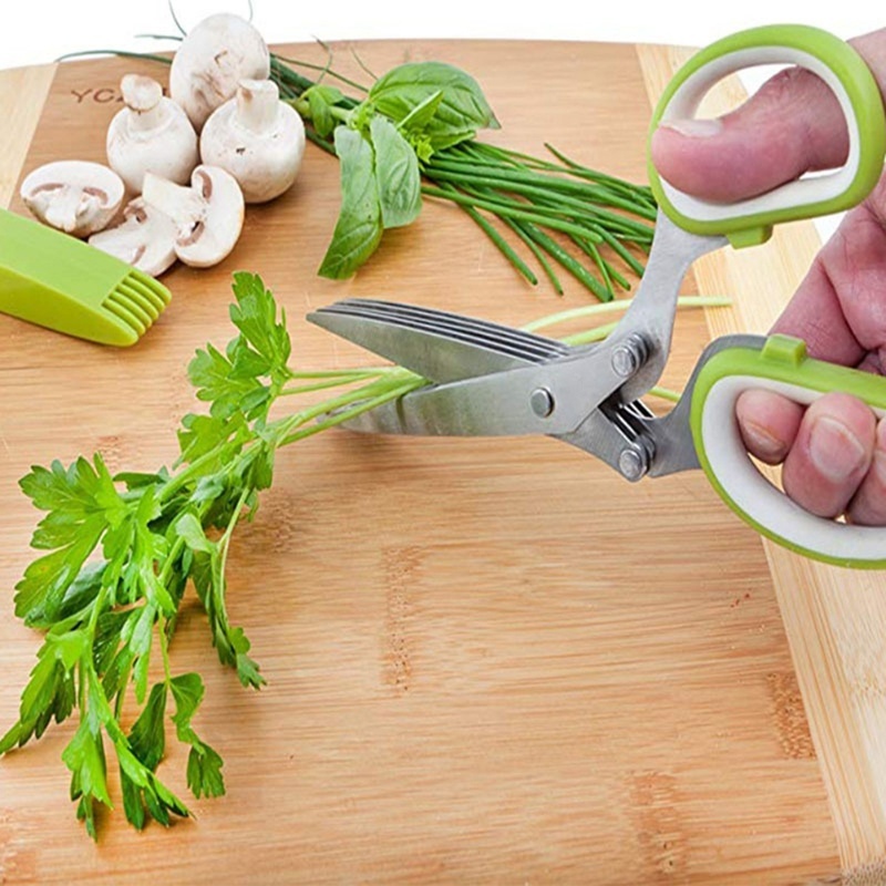 Ciseaux à herbes avec 5 lames, - Herb Scissors 5 Blade avis et prix