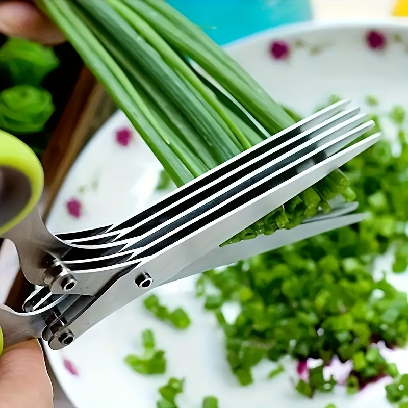 Ciseaux à herbes multi-lames e - Herb Scissors 5 Blade avis et prix