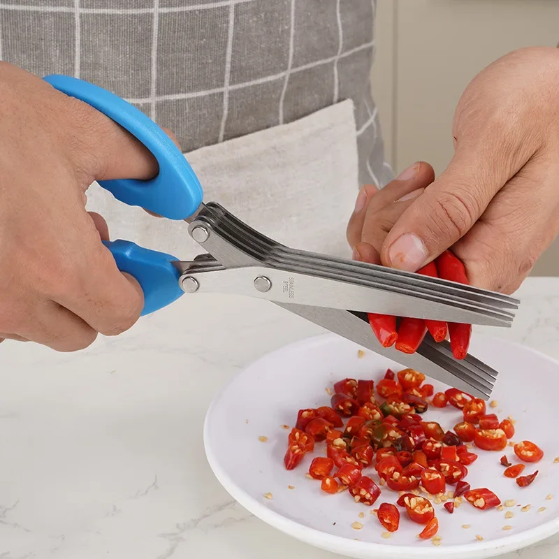 Ciseaux de Cuisine Multifoncti - Herb Scissors 5 Blade avis et prix